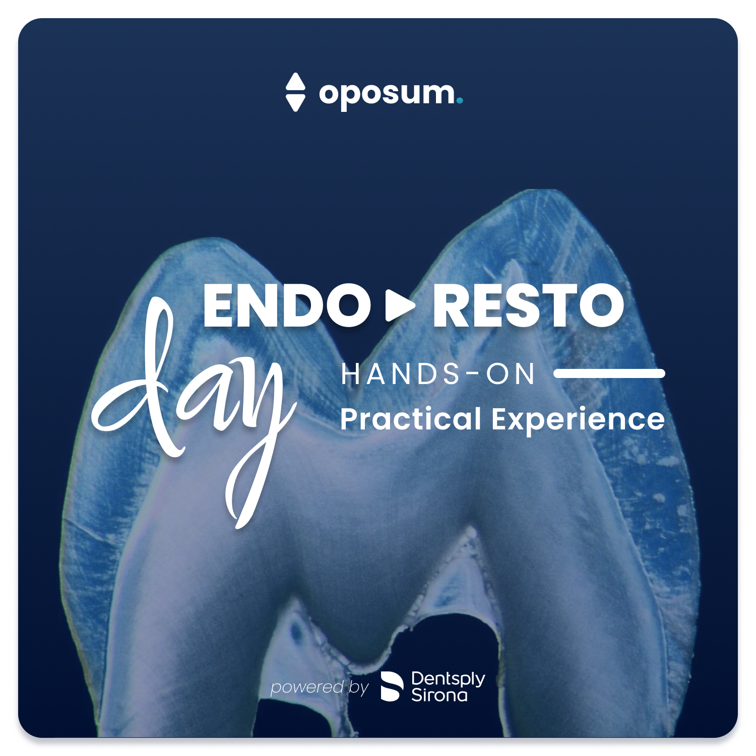 Endo Resto Day
